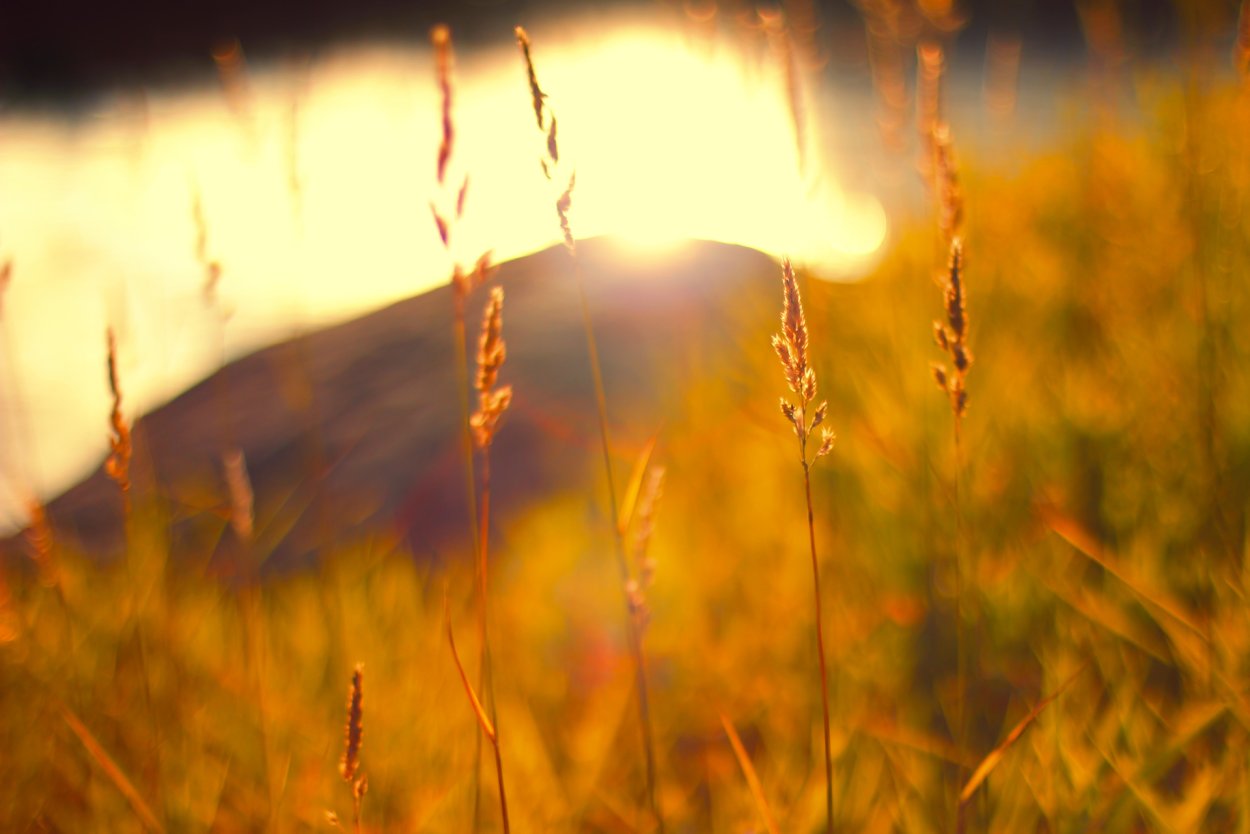 Теплая природа