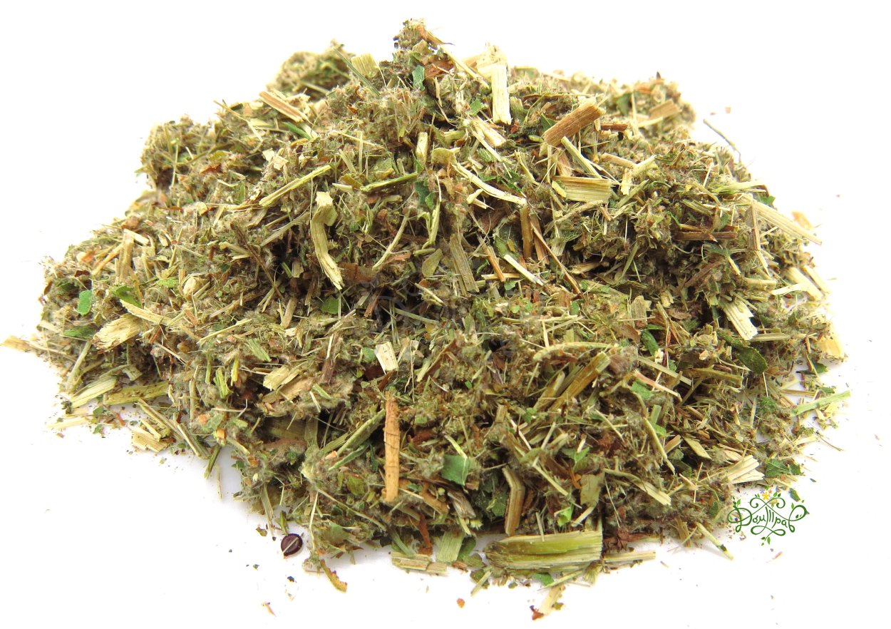 Трава горца перечного (водяного перца) - herba polygoni Hydropiperis