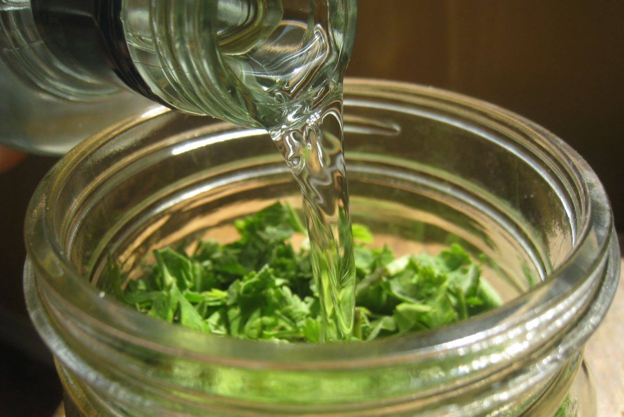 Перец кустарниковый Феникс