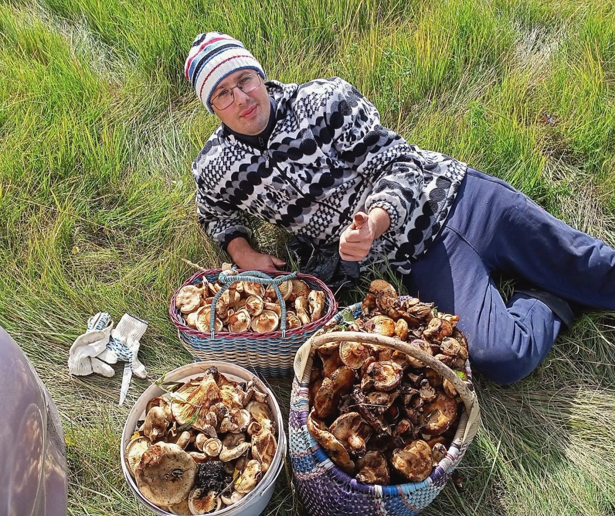 Октябрьские грибы