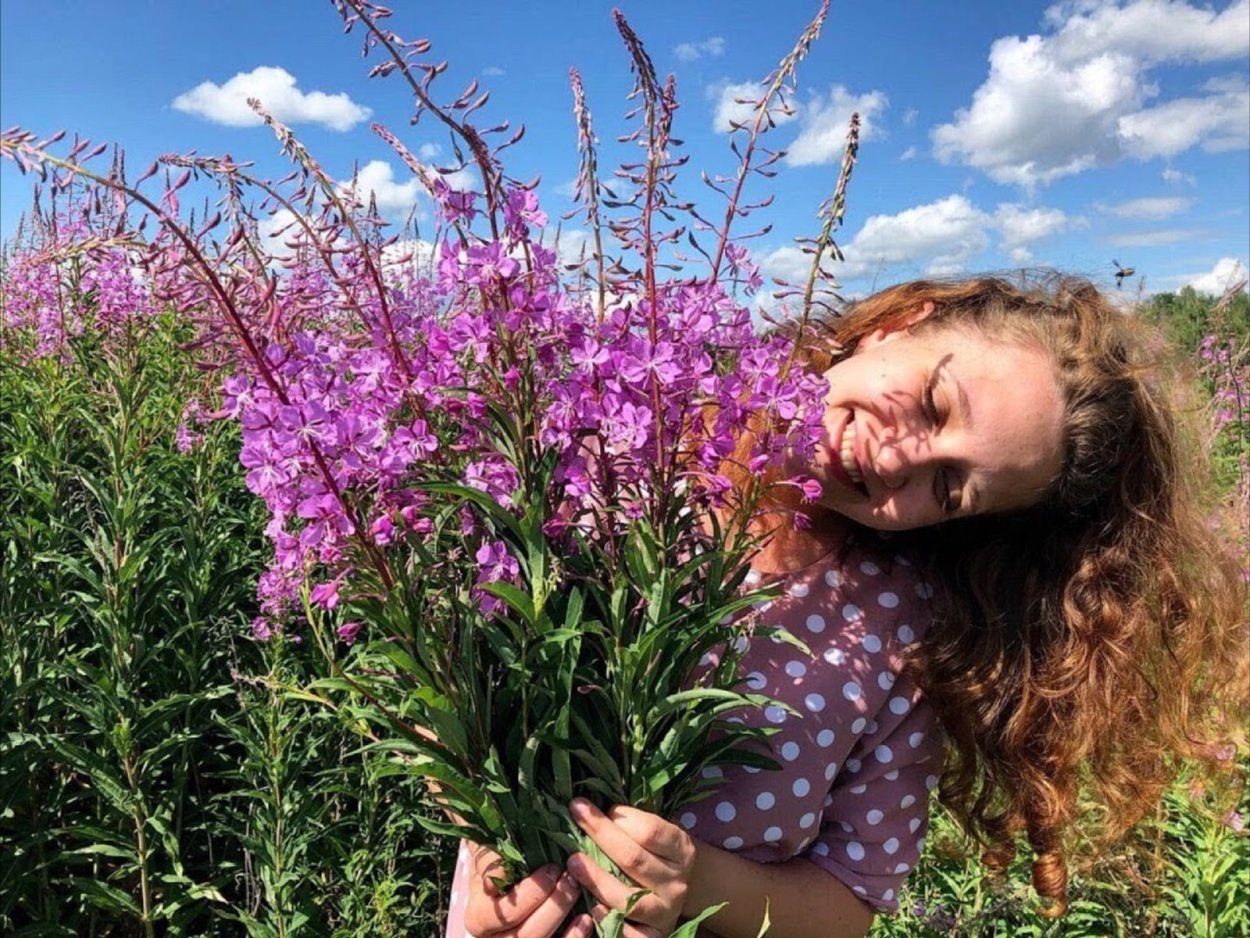 Травы сушенны на стене