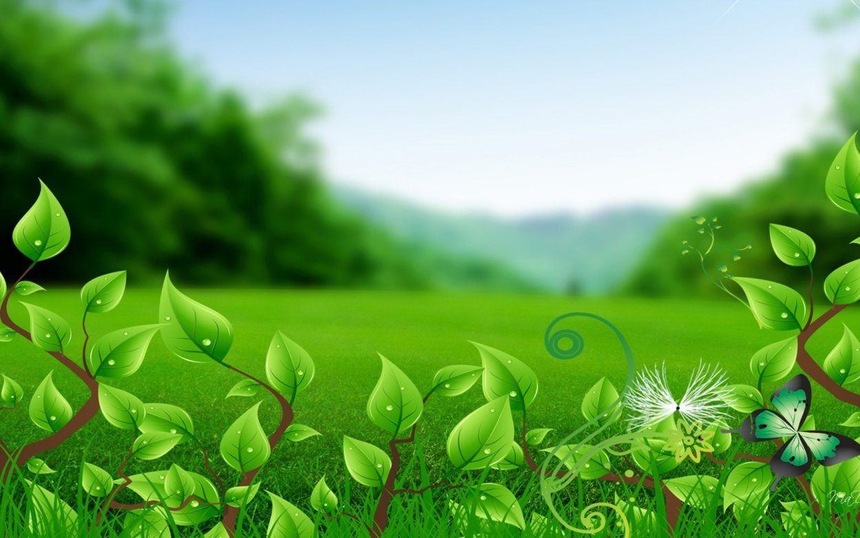 Экологический фон