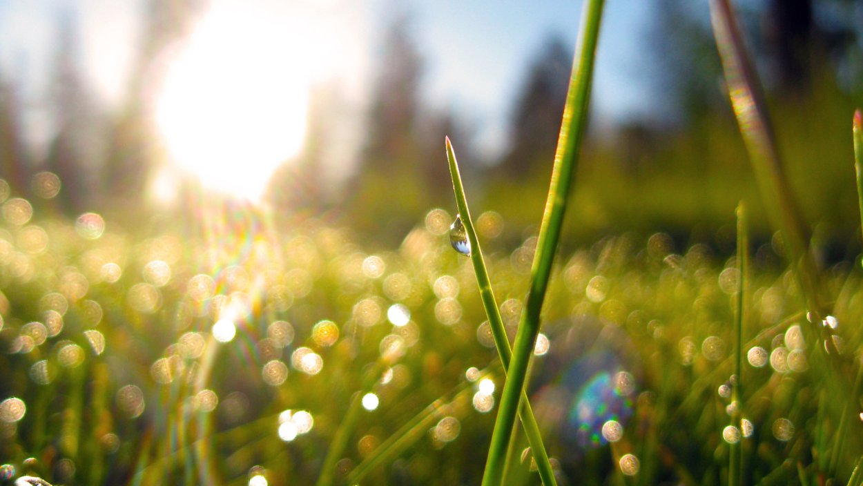 Утро солнце