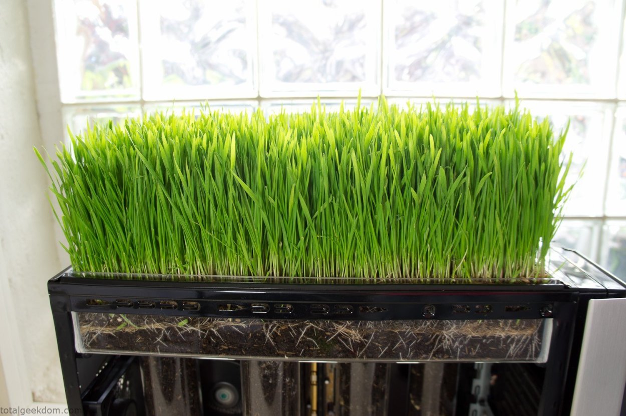 Искусственная трава для декора интерьера