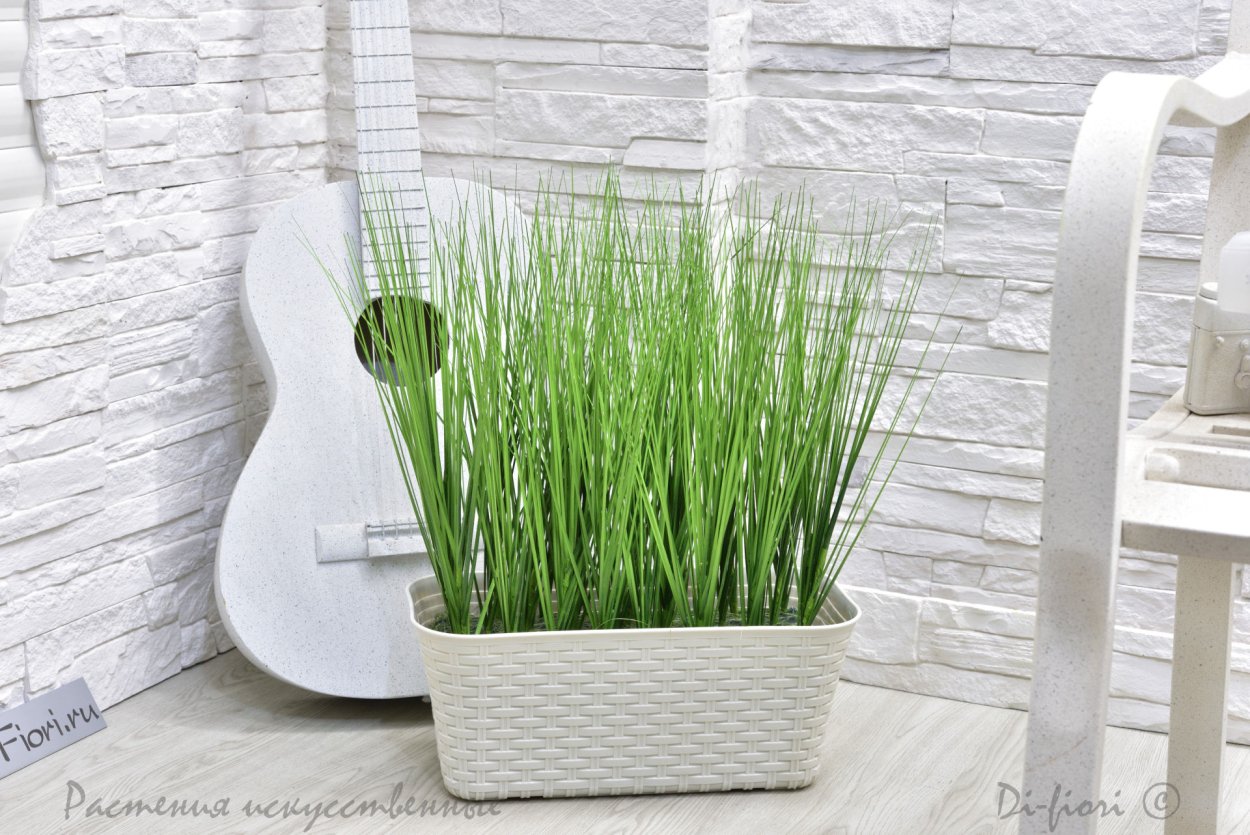 Трава в горшке