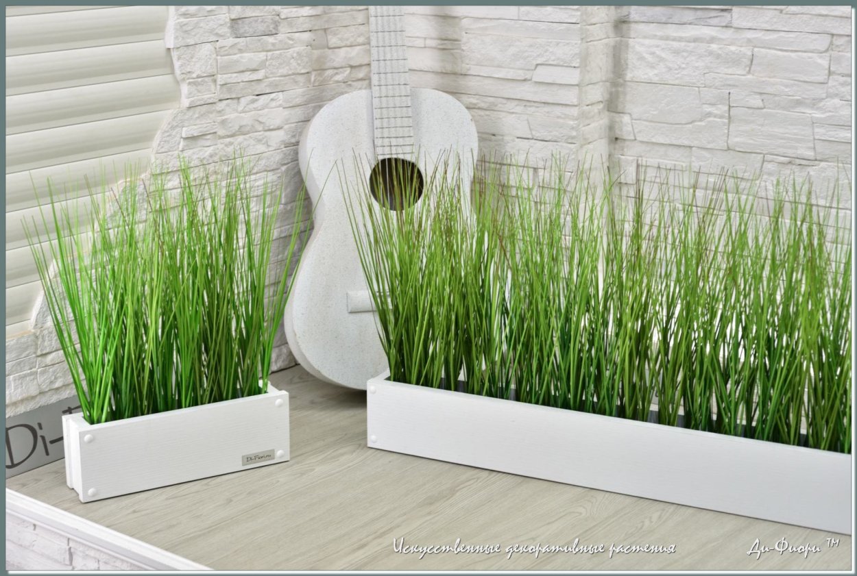 Трава для вазонов