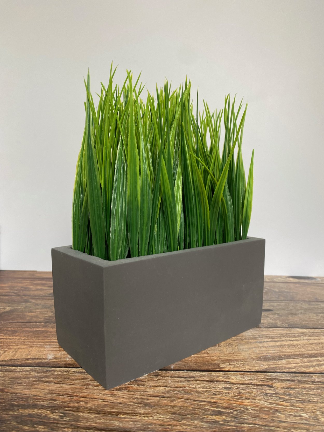 Трава в горшках для интерьера