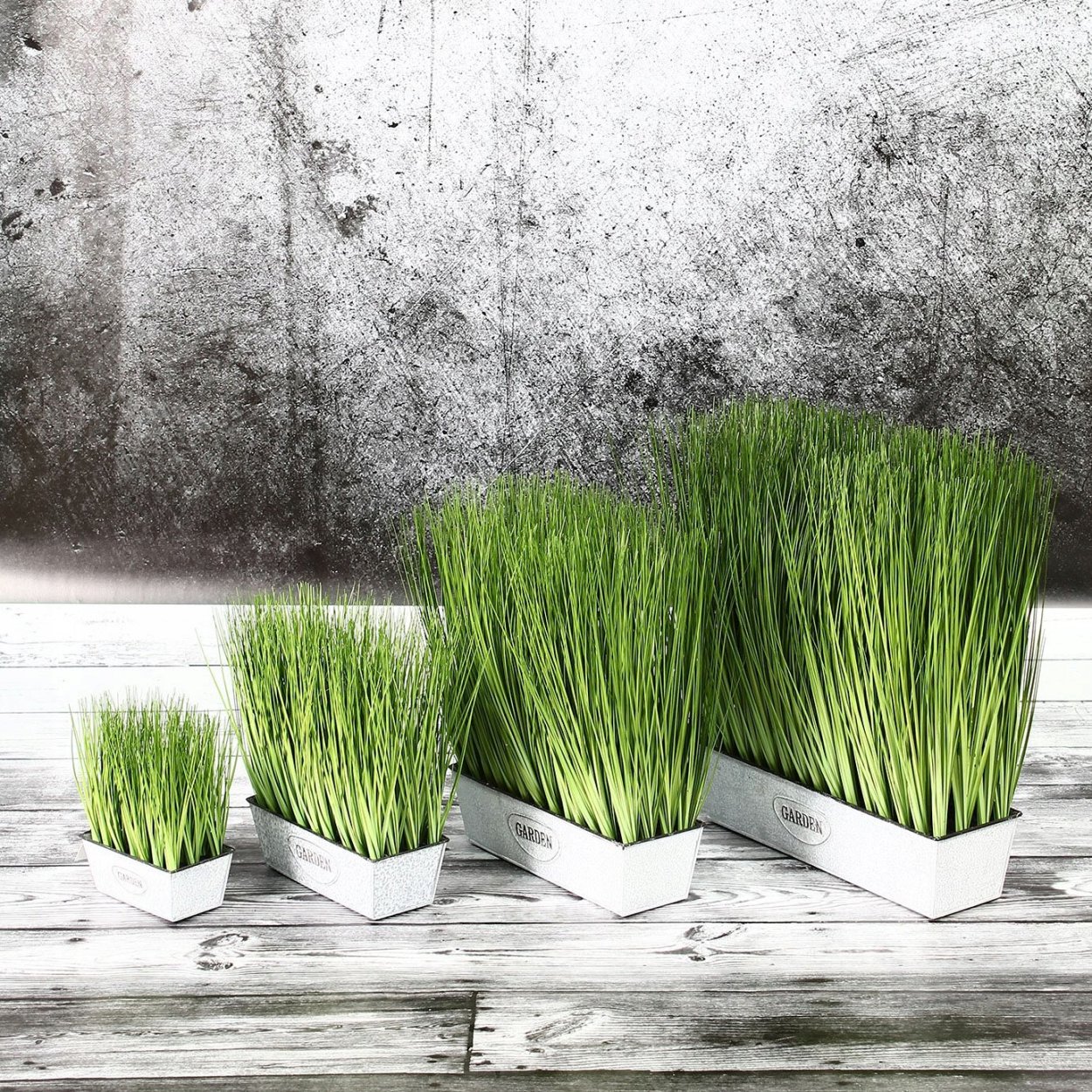 Осока в горшке икеа