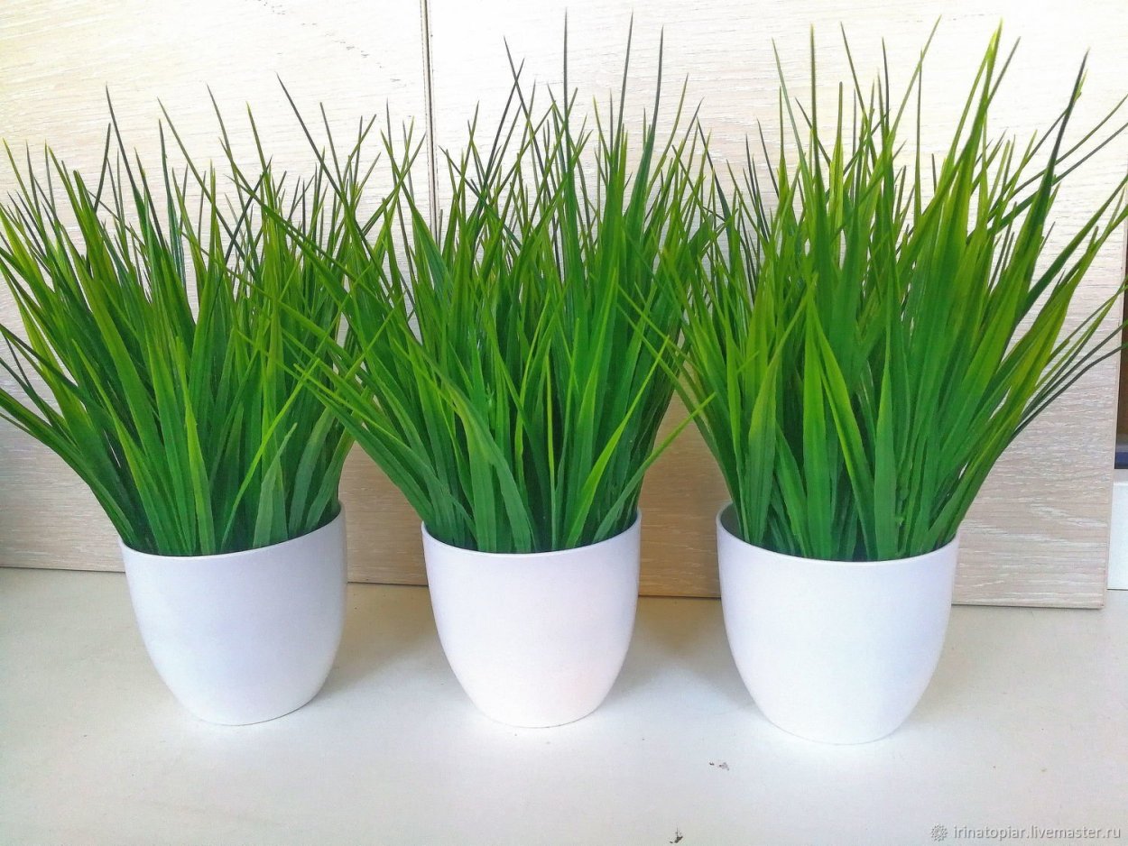 Искусственная трава икеа