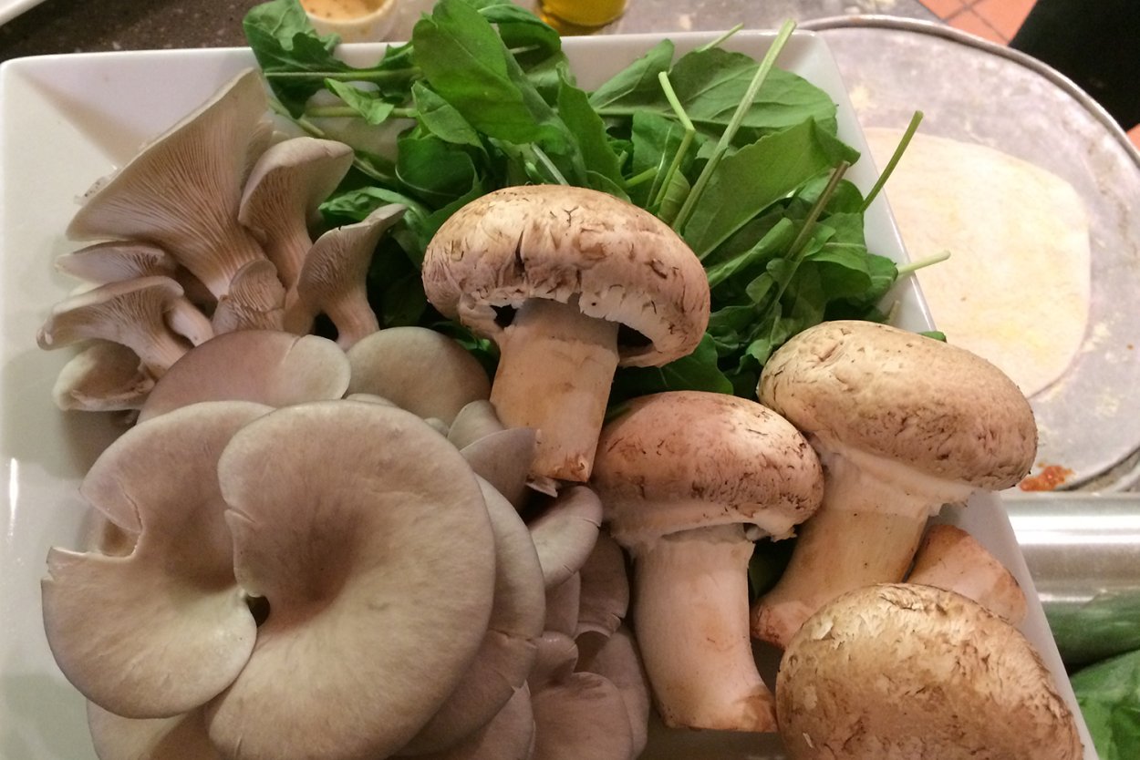 Сбор грибов