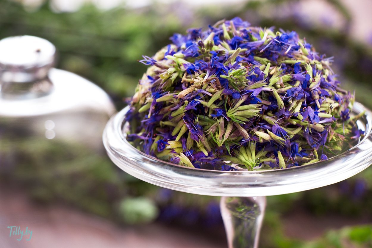 Иссоп (трава, 50гр.)