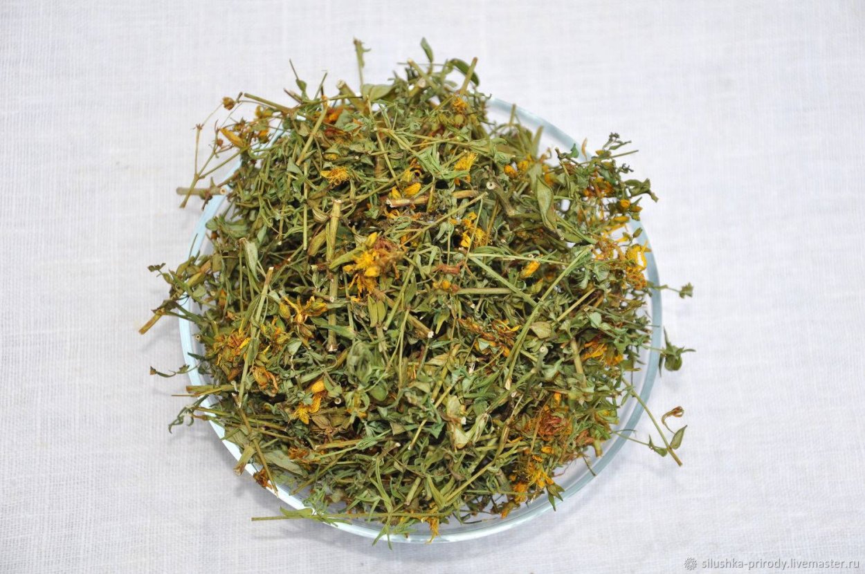 Зверобой продырявленный сырье