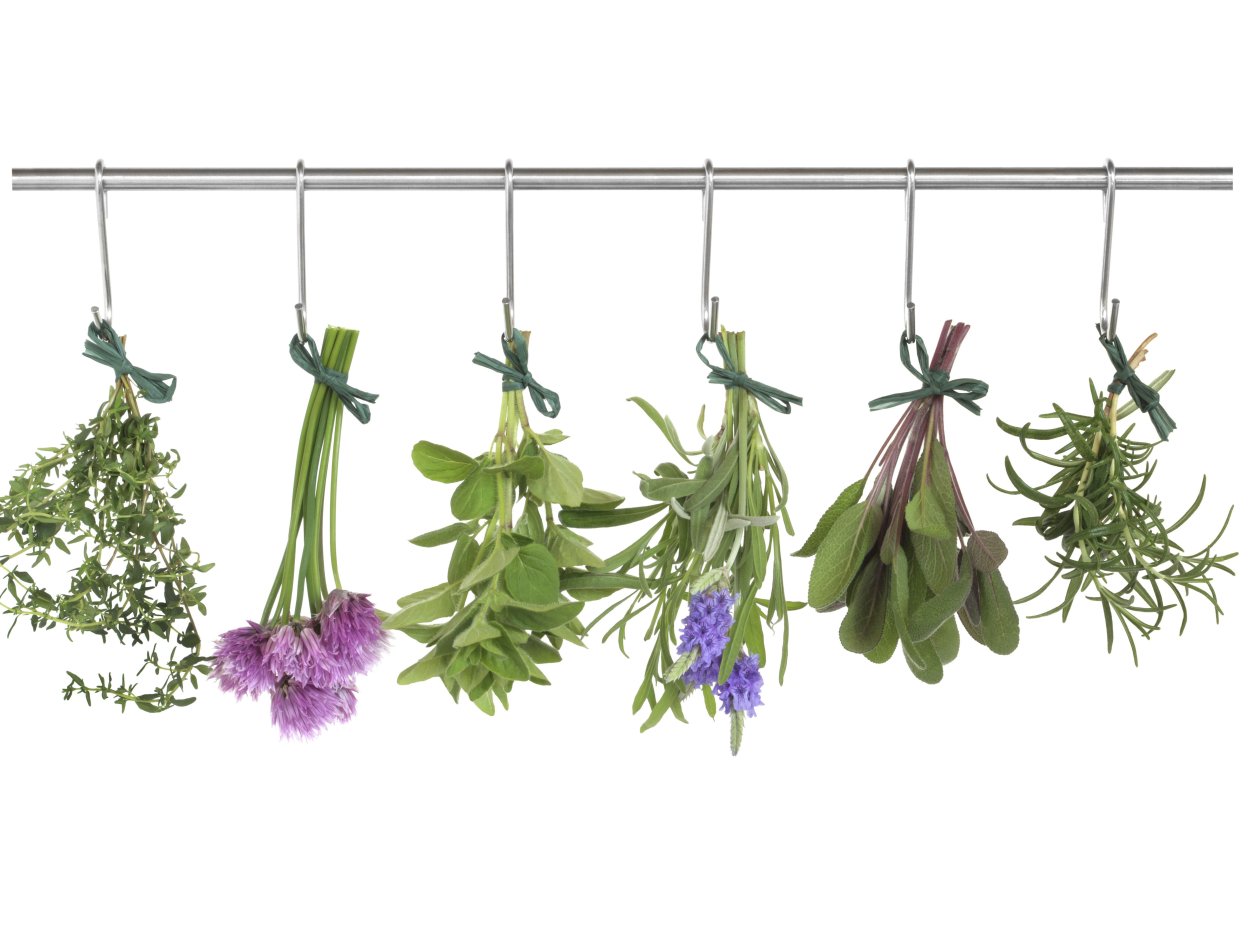 Зверобой ЛРС