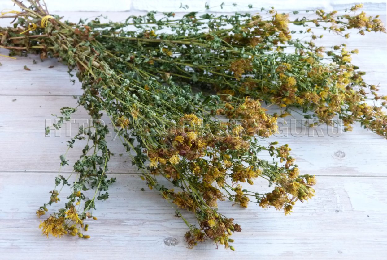 Мята Мелисса душица