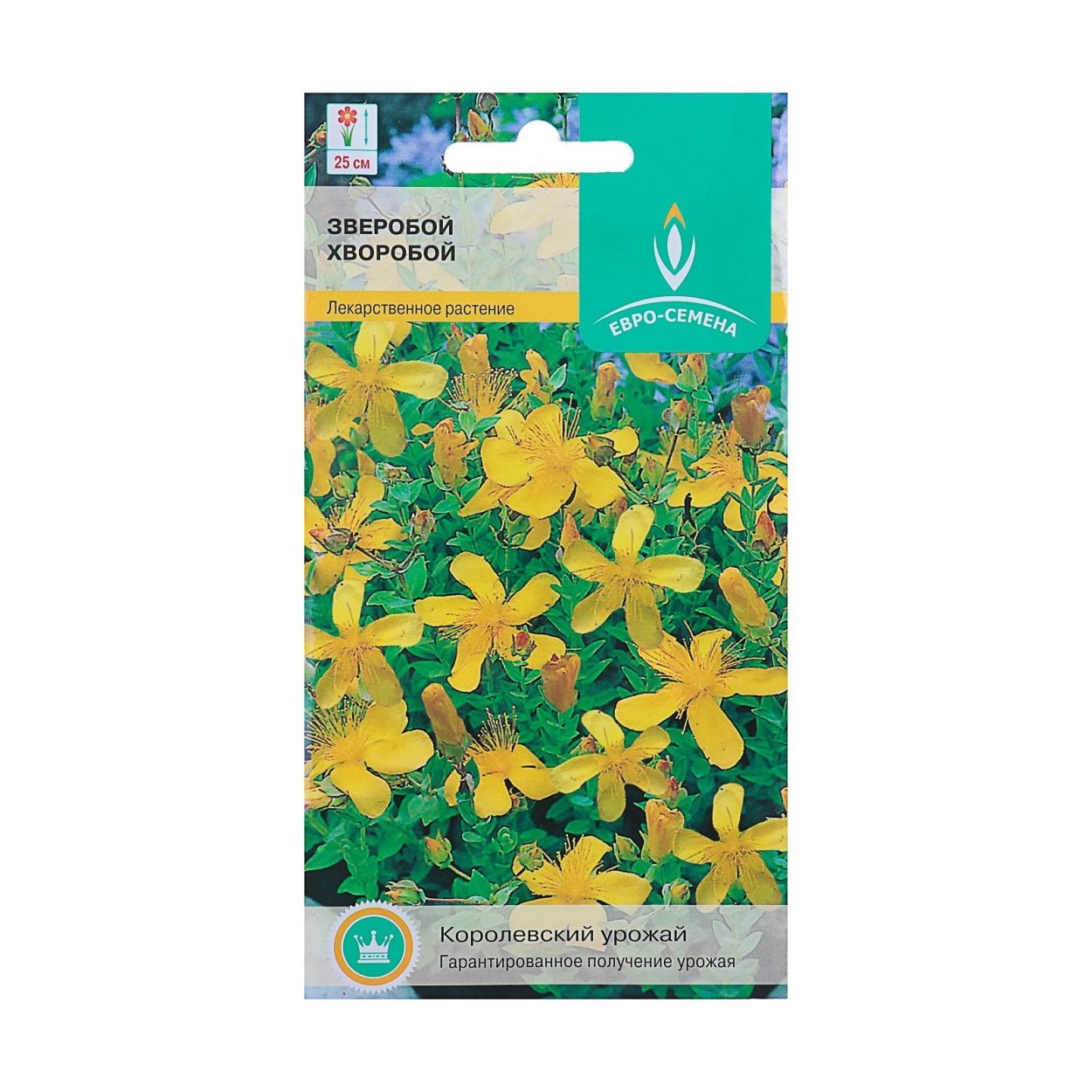 Трава зверобоя продырявленного