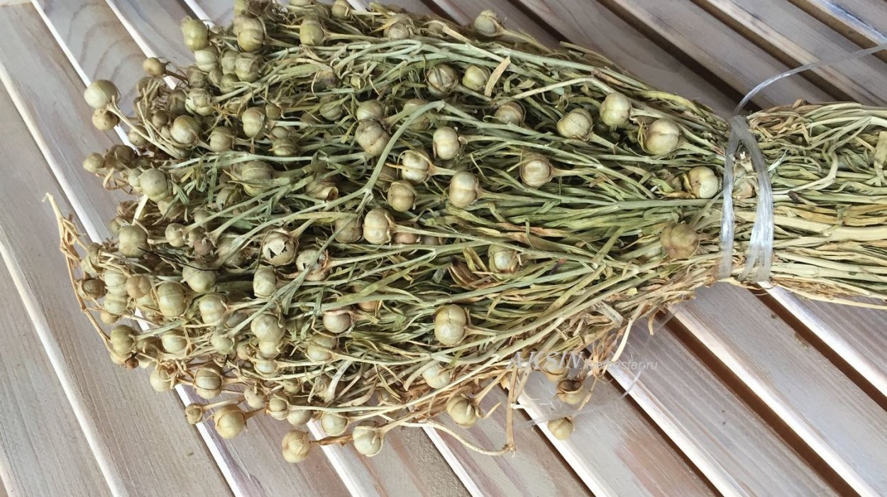 Адыраспан трава