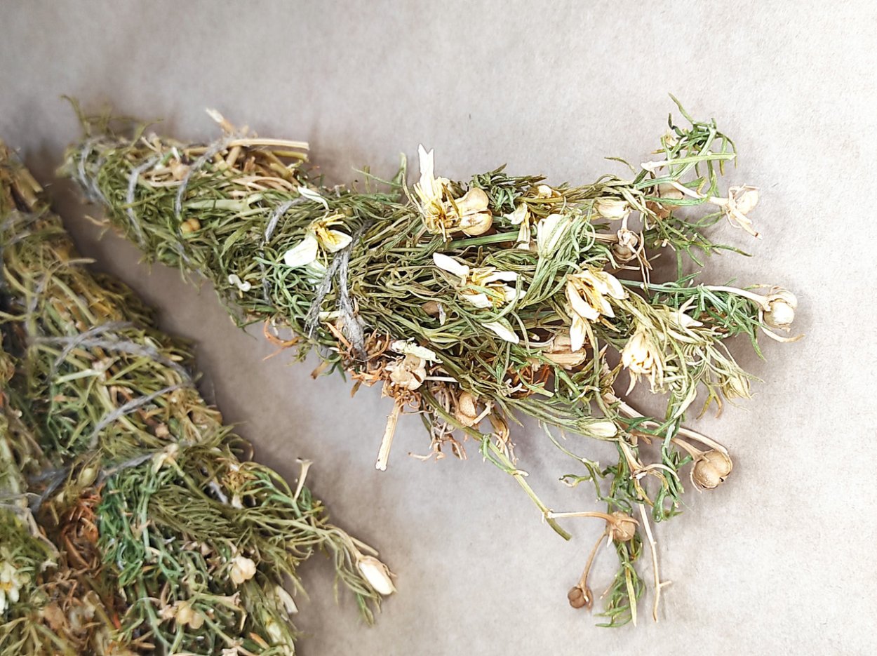 Трава гармала для окуривания