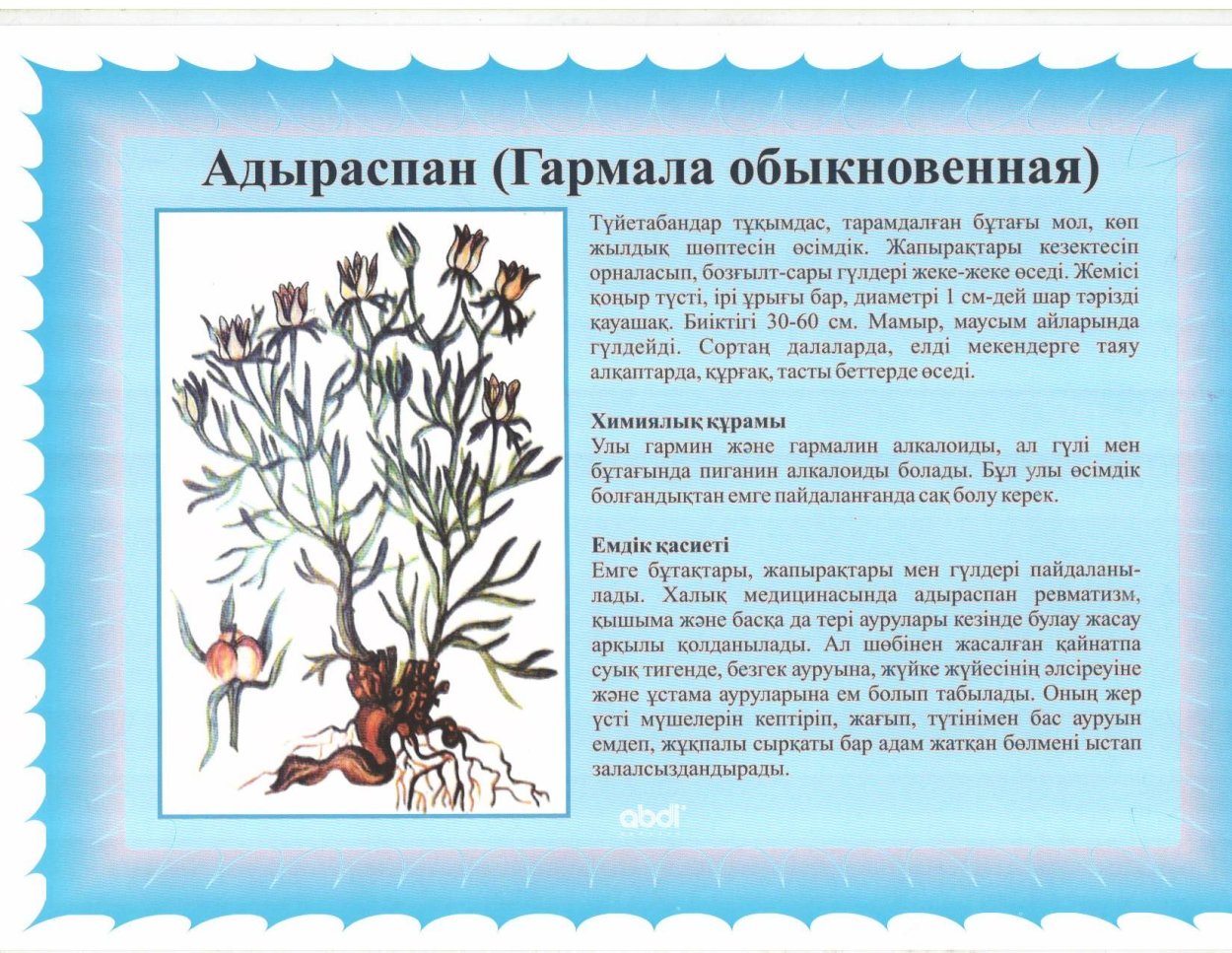 Гармала обыкновенная презентация