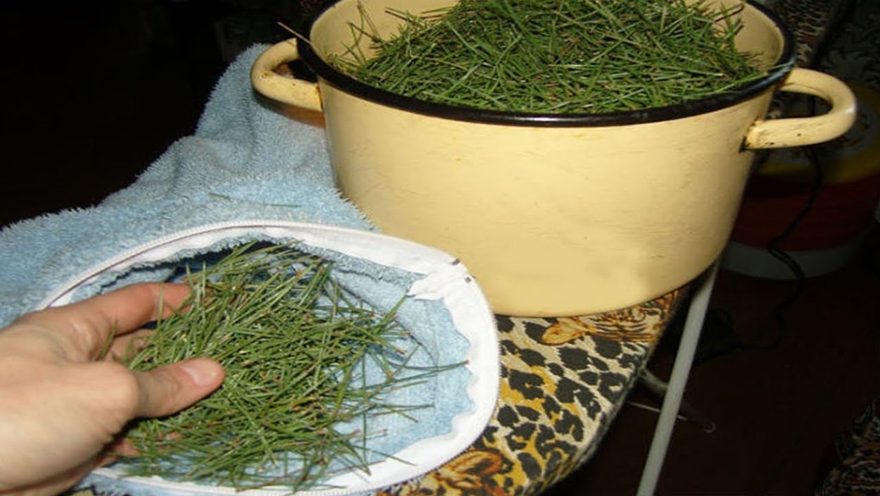 Настой из хвои