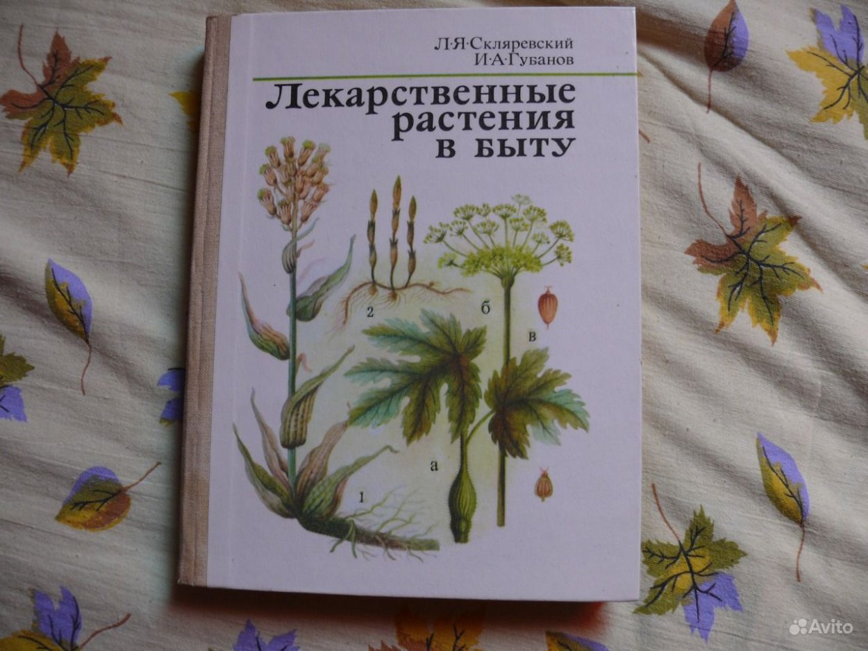 Лекарственные растения в быту