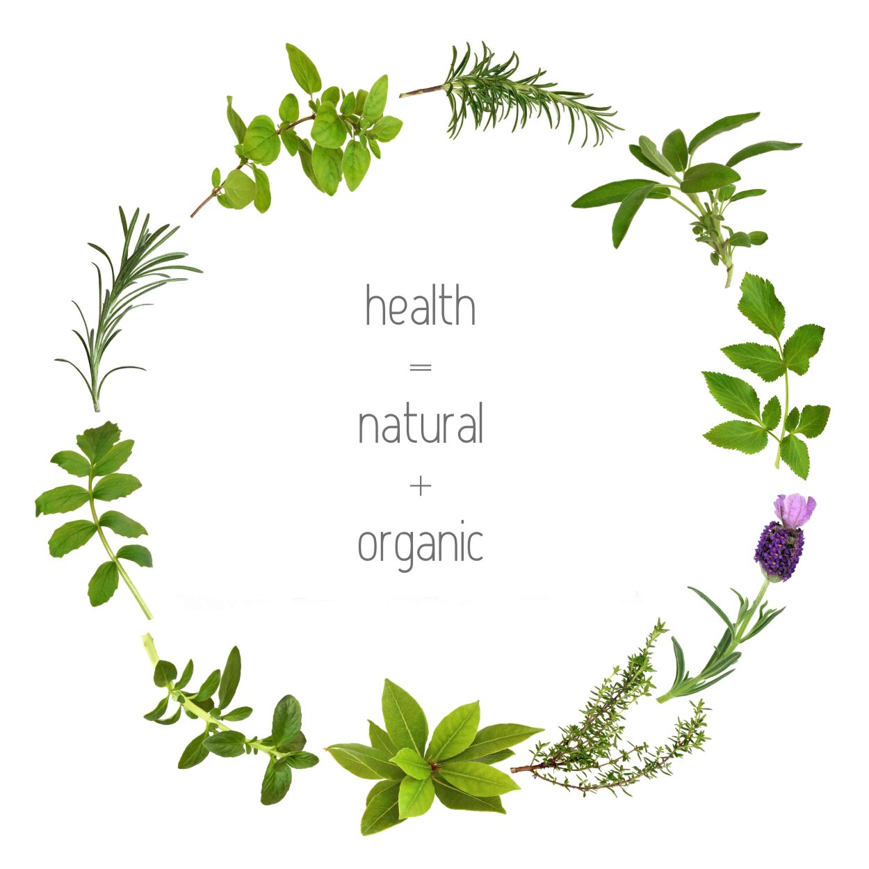 Рамка из лекарственных растений