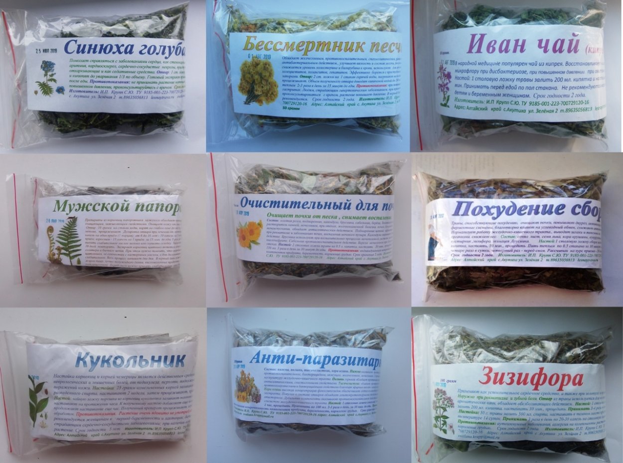 Фиточай золотой Алтай