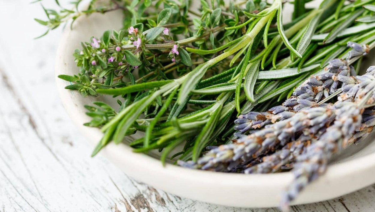 Базилик тимьян розмарин