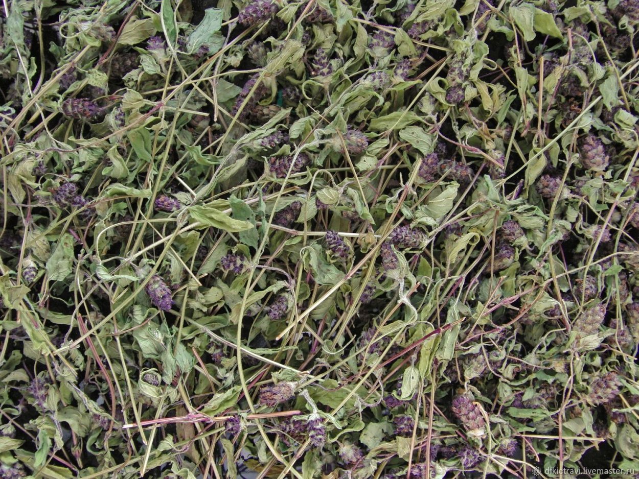 Горлянка трава сухая