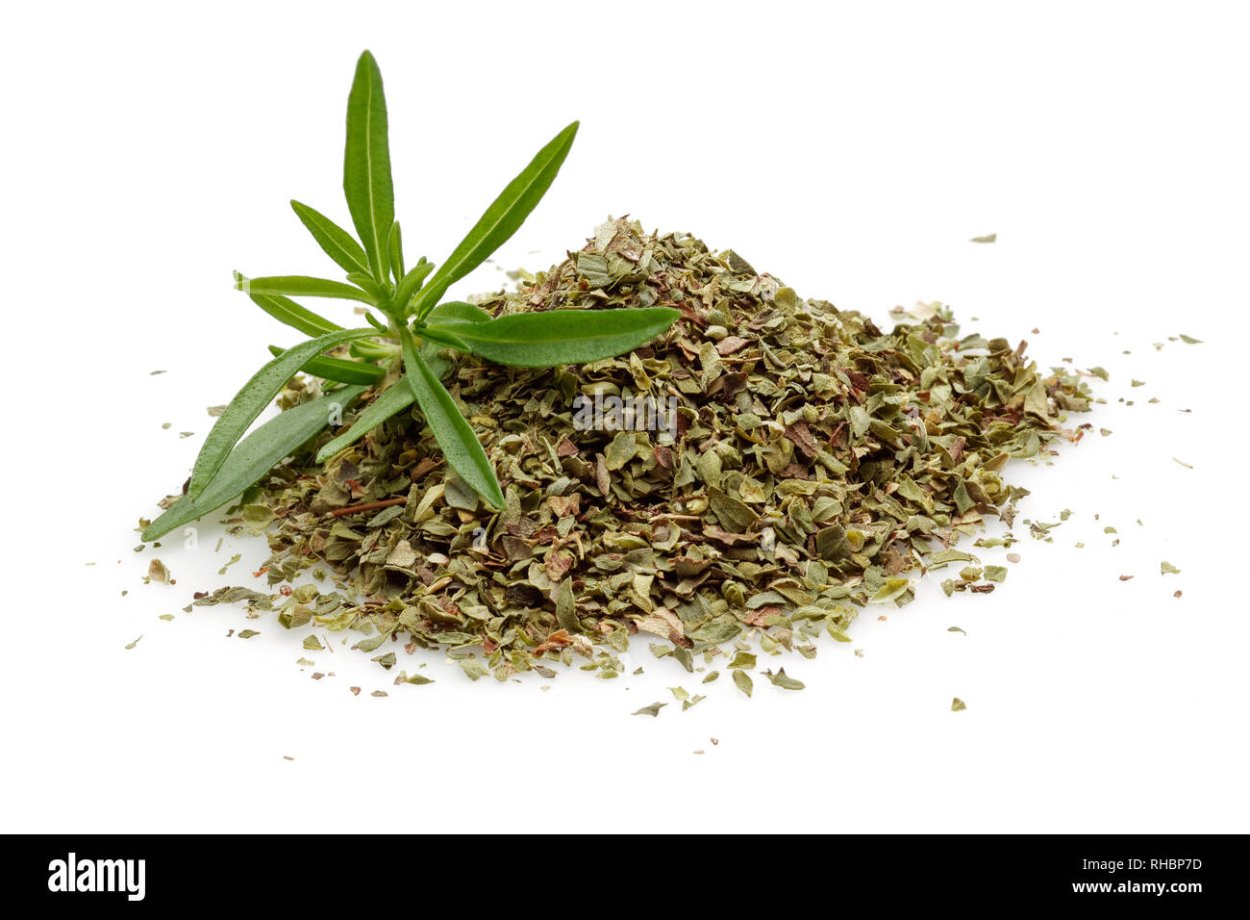 Горный армянский чабрец