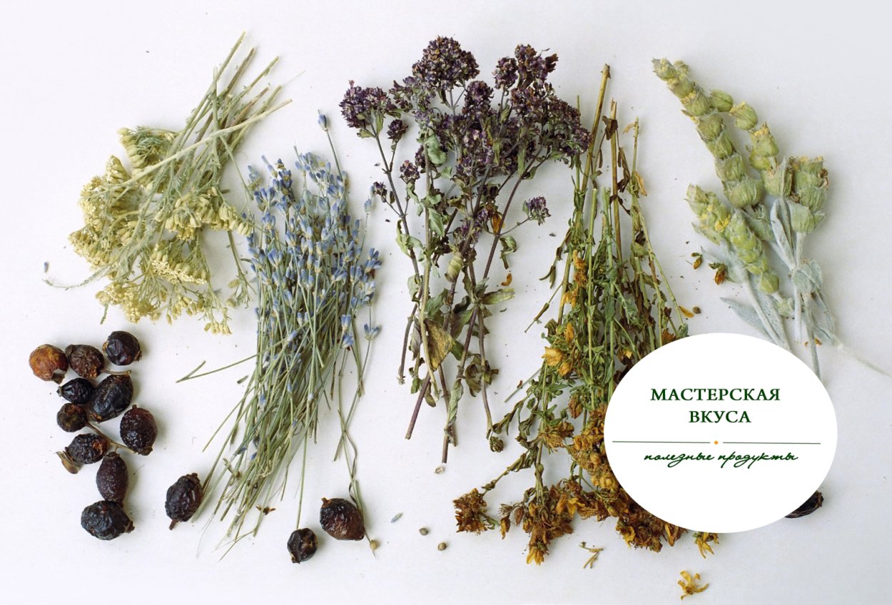 Лекарственные травы съедобные