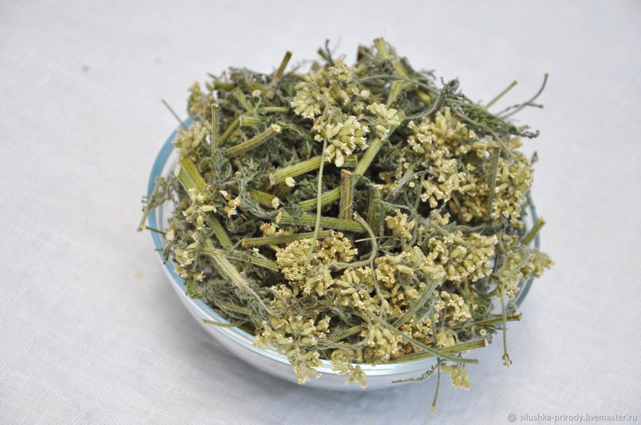 Тысячелистник трава сушеная