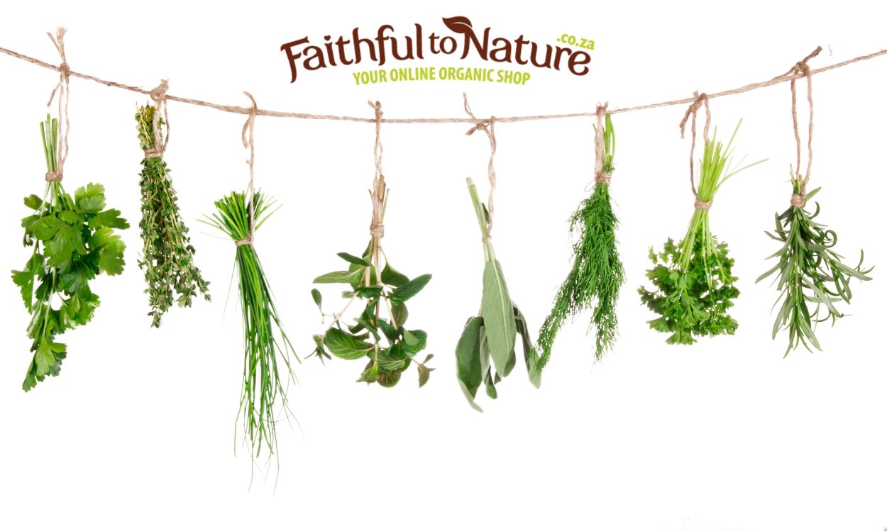 Багульник окуривание помещения