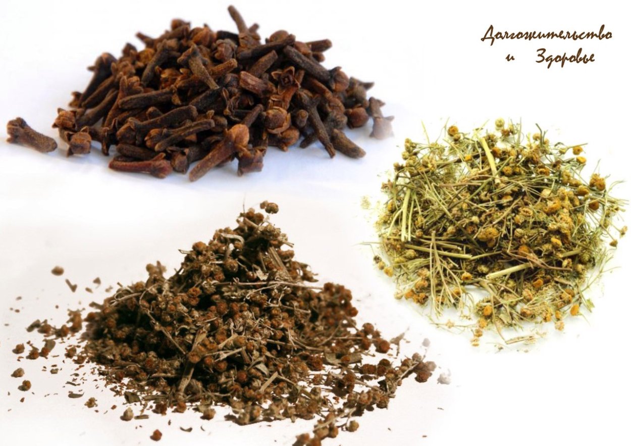 Тройчатка Полынь пижма