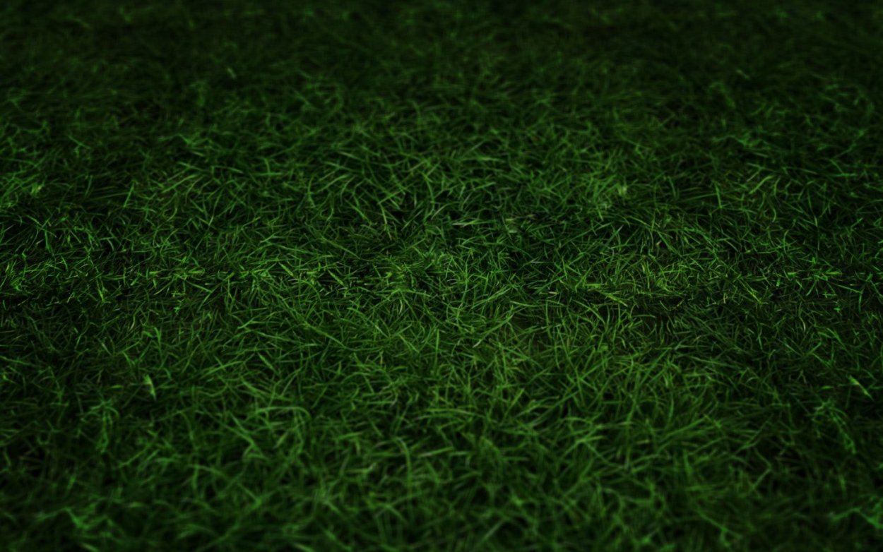 Темно зеленая трава