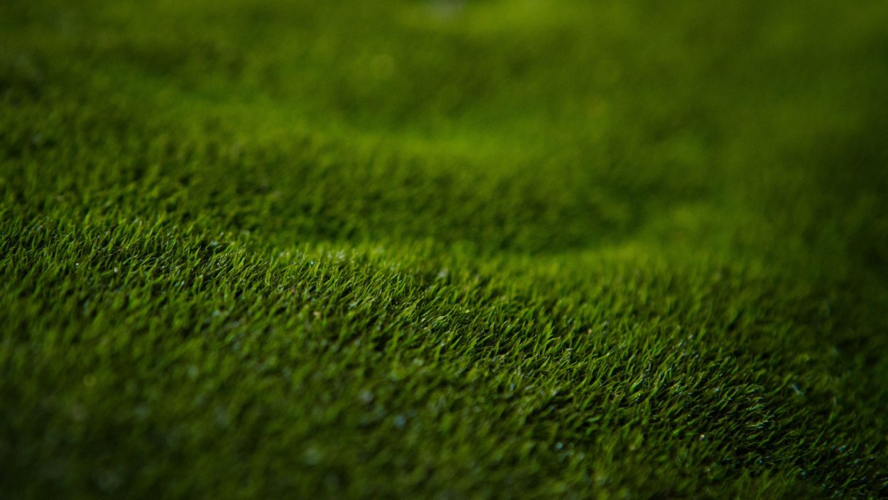 Фон земля трава