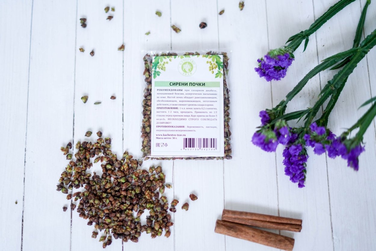 Почки сирени от сахарного диабета