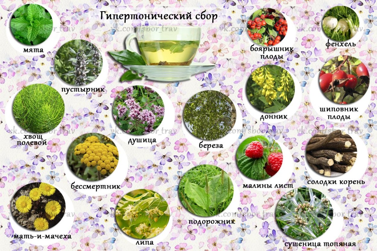 Гипертонический чай