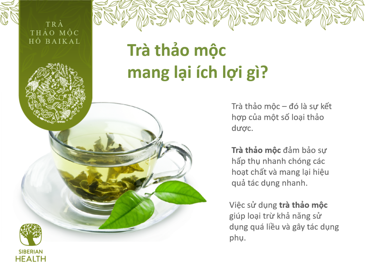 Травяные сборы и фиточаи Сибирское здоровье