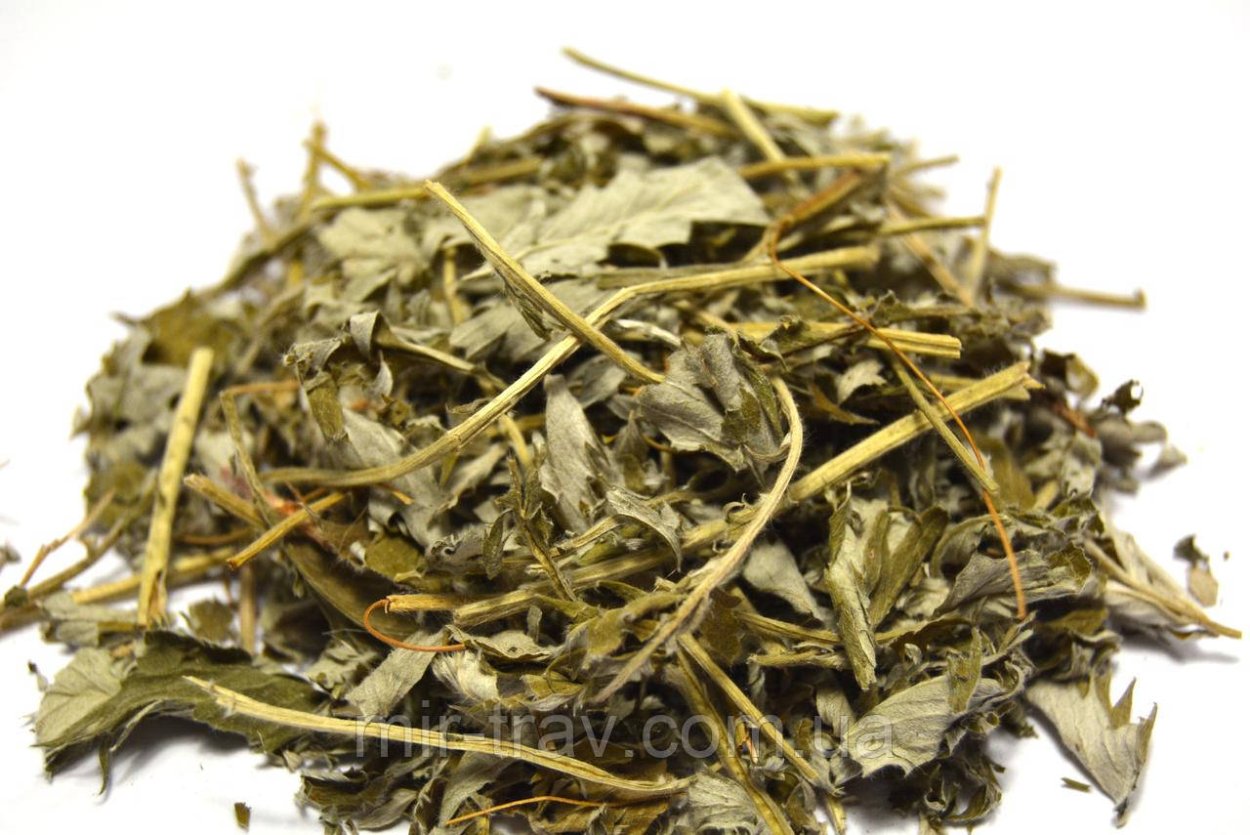 Гусиные лапки трава Степная