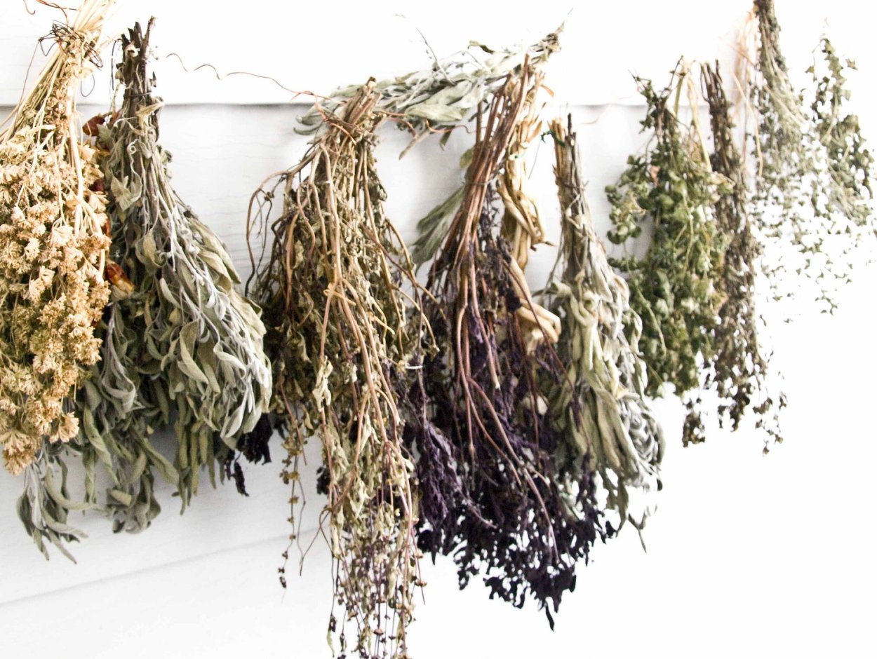 Травяной чай "Полынь горькая"