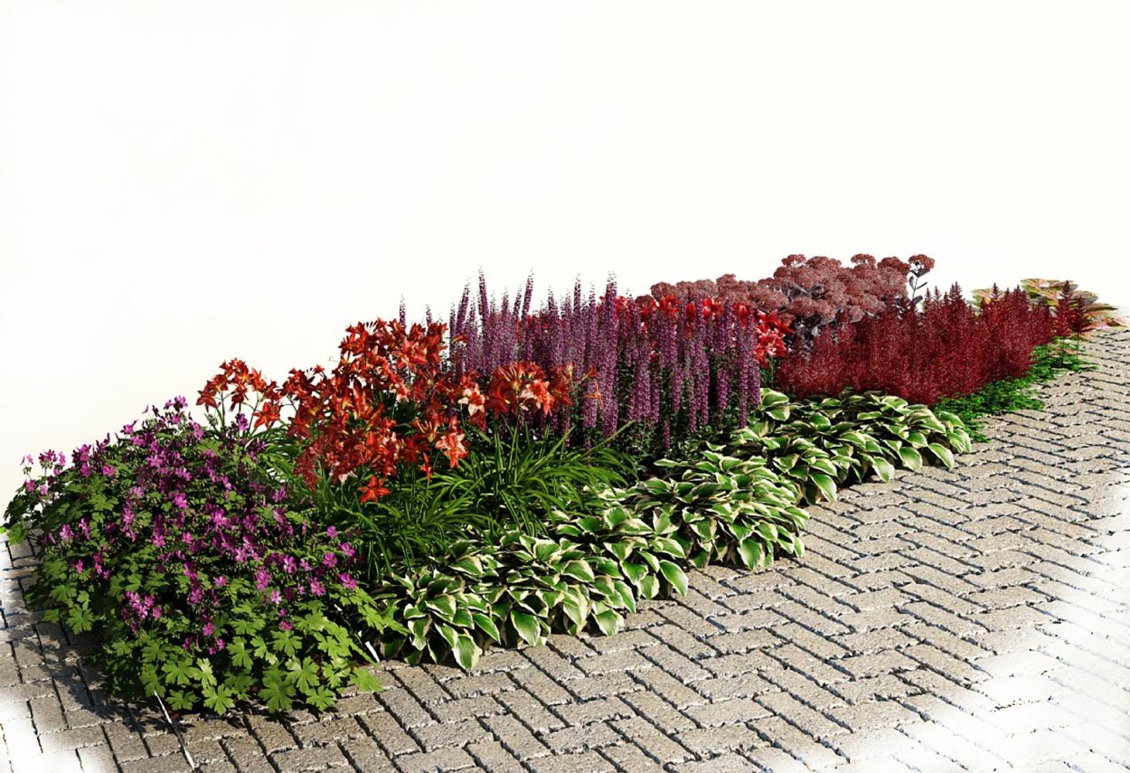 Однотонные клумбы