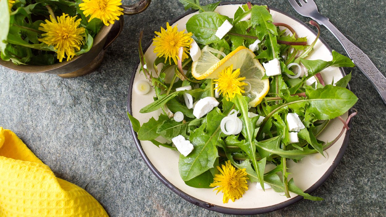 Мангольд шпинат базилик