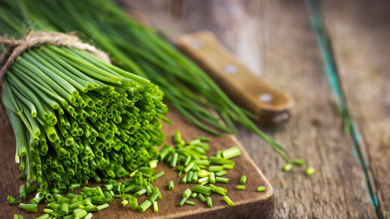 Сбор трав "крапива"