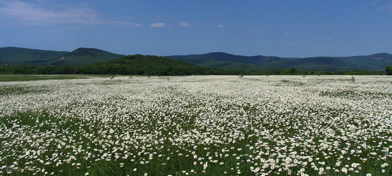 Весенняя природа