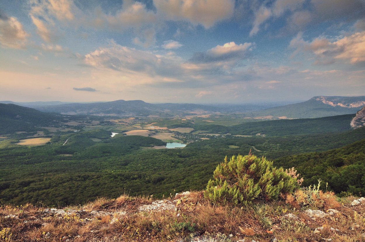 Фауна в Байдарской долине