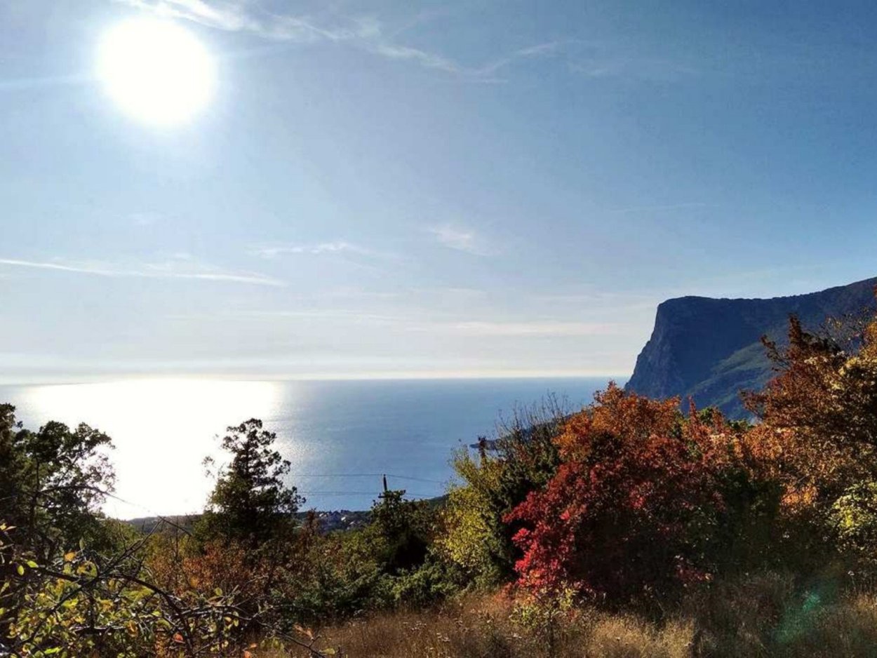 Аю-Даг (заказник)