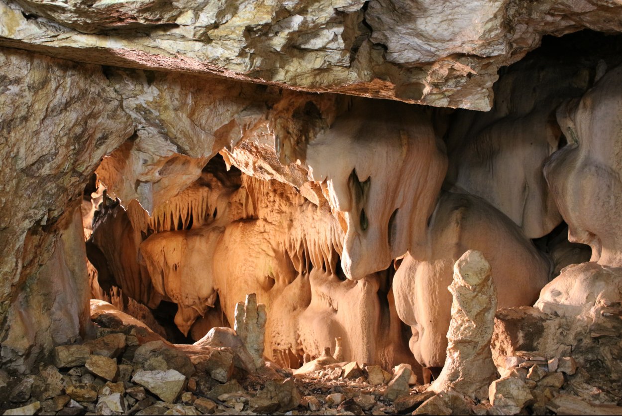 Байдарская Долина цветы