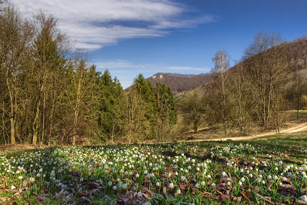 Сыроварня Волино