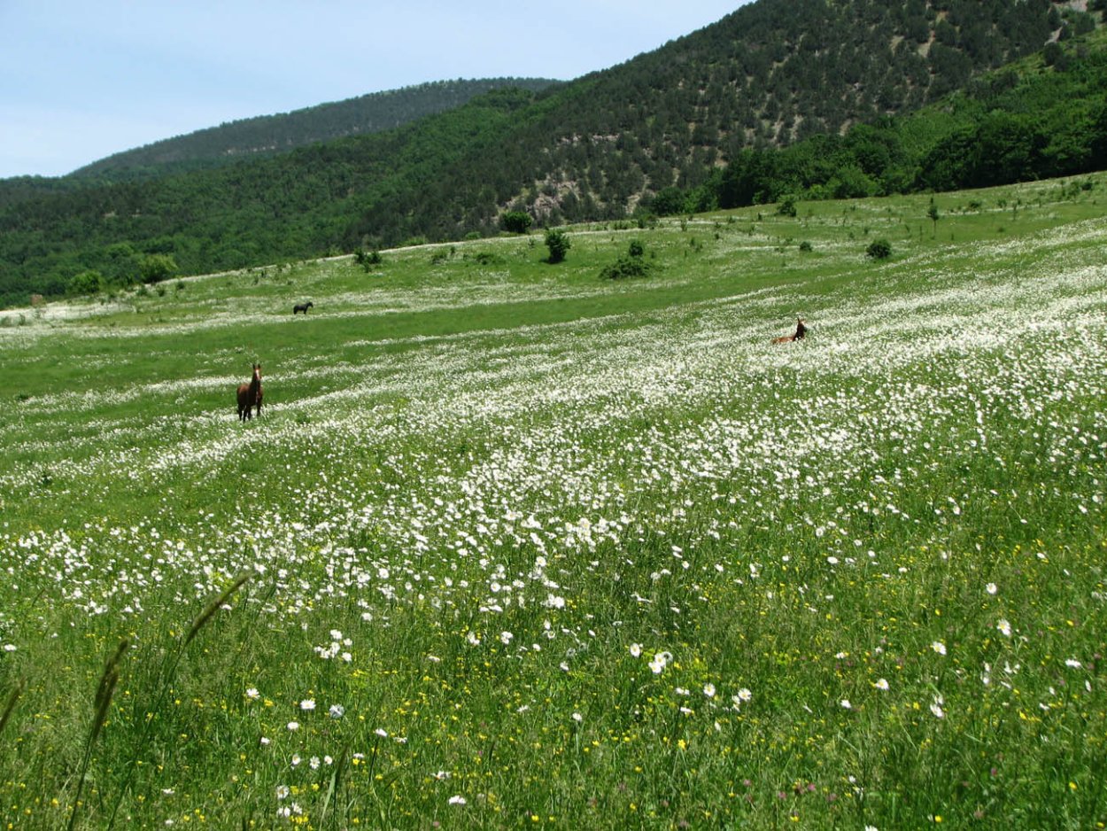 Родниковский водопад в Байдарской долине