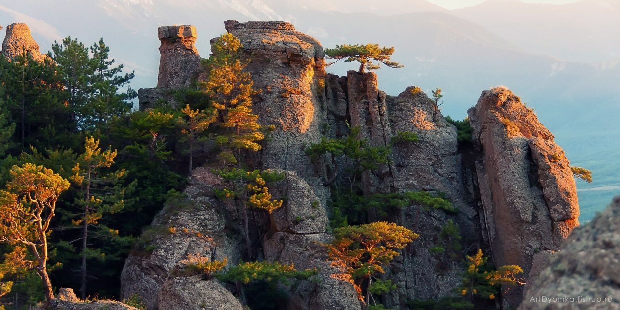 Цветущее плато Караби-яйла